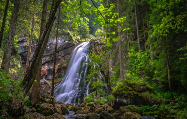 Forest, trees, rock, stones, waterfall, Austria, cascade, Austria