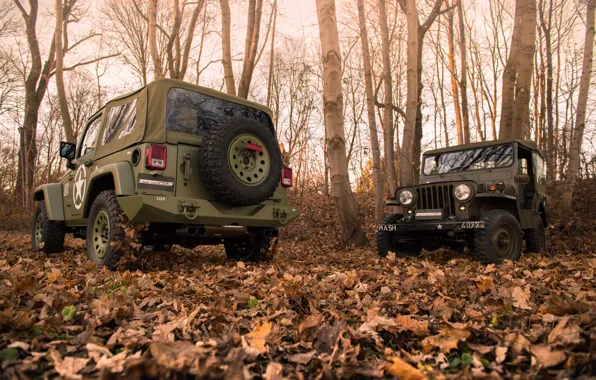 Picture trees, foliage, bumper, 4x4, Jeep, Willys MB, the soft top, Geiger-Willys Limited Edition