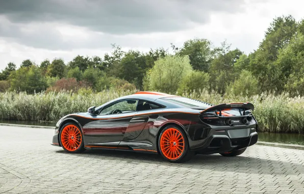 McLaren, rear view, 2018, MSO, 675LT, Gulf Racing