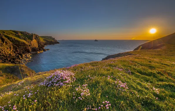 Picture sea, sunset, flowers, rocks, coast