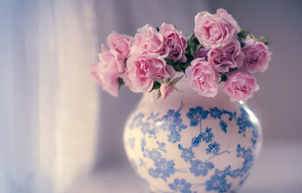Roses, vase, pink