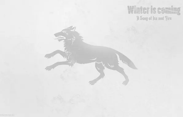 Coat of arms, song of ice and fire, the direwolf, a direwolf