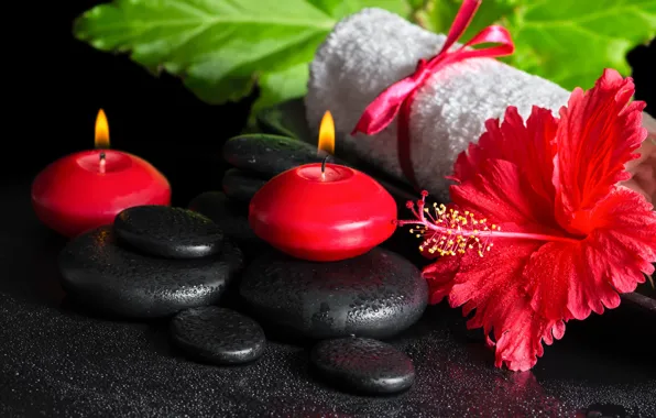 Flowers, Spa, background, Spa, candles, spa stones