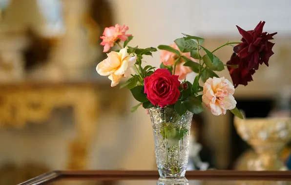 Glass, leaves, flowers, table, roses, bouquet, red, vase