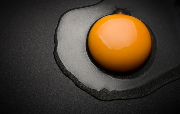 Picture surface, egg, scrambled eggs, the yolk