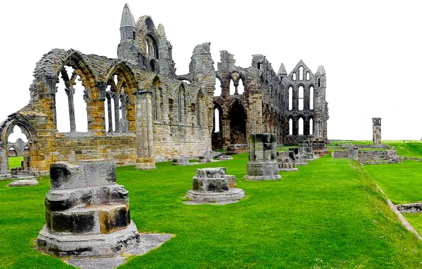 Grass, England, the ruins, ruins, England, North Yorkshire, North Yorkshire, Whitby Abbey