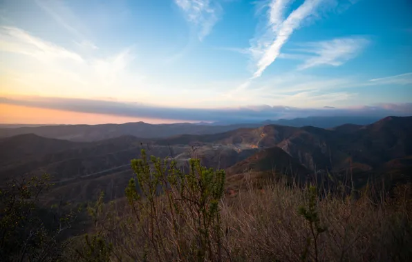Mountains, nature, the bushes
