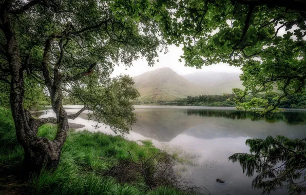 Wallpaper morning, mountains, nature, trees, lake, landscape
