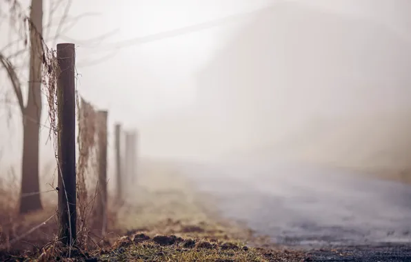 Road, fog, the fence