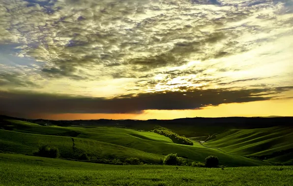 Greens, the sky, grass, clouds, trees, sunset, hills