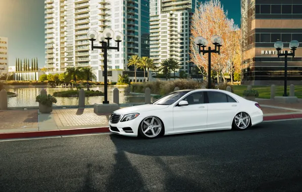 Car, white, mercedes, tuning, stance, s-class