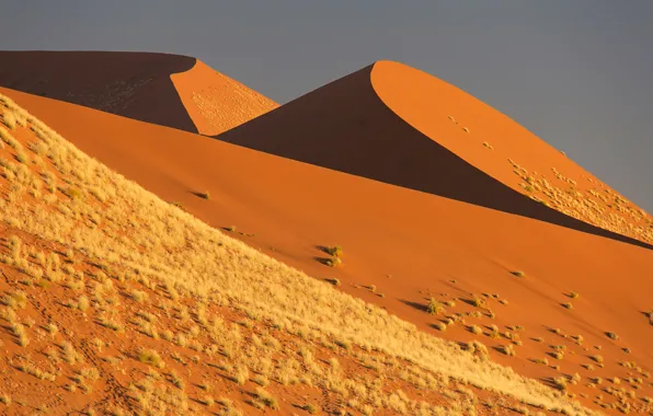 Sand, the sky, the dunes, Africa, Namibia, the Namib desert