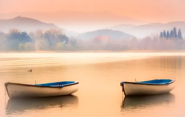 Picture the sky, mountains, fog, lake, boats, duck
