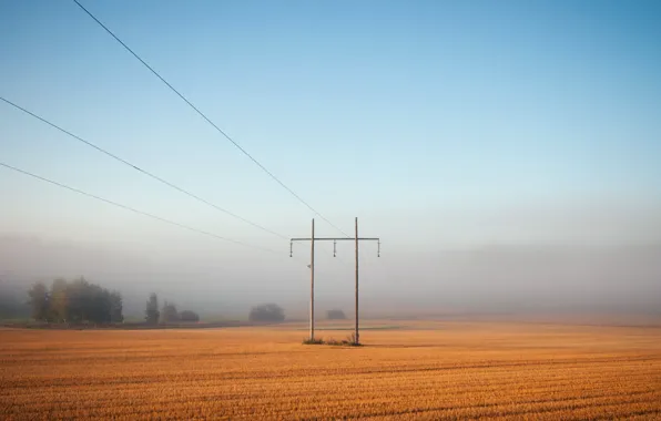 Field, landscape, fog, power lines