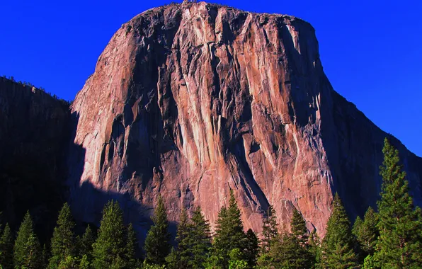 Forest, the sky, mountains, rocks, spruce