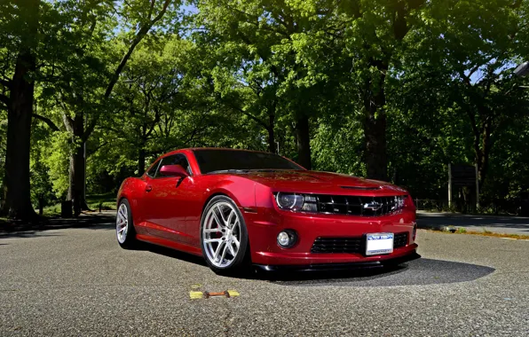 Auto, trees, red, Chevrolet, chevrolet, muscle car, camaro ss, Camaro
