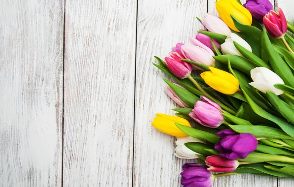 Flowers, bouquet, colorful, tulips, pink, flowers, tulips, spring