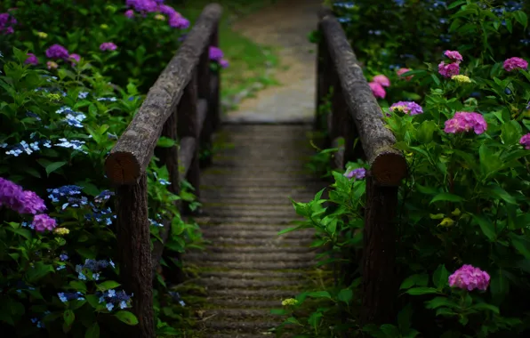 Greens, summer, leaves, flowers, garden, railings, wooden, the bridge