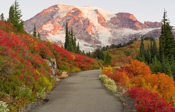 Road, autumn, forest, snow, mountains, the slopes, tops, ate