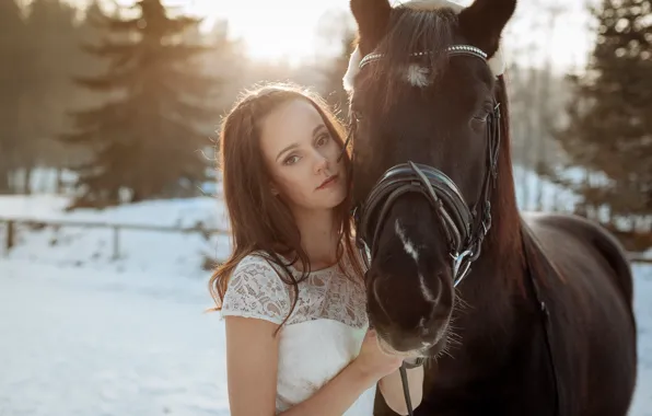 Girl, each, horse