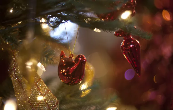 Picture lights, toys, tree, new year, prazdnik
