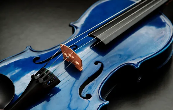 Macro, music, violin