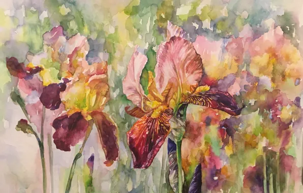 Picture flowers, watercolor, painting, irises, the work of Irene Michel