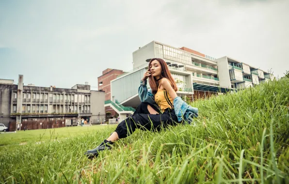 Picture grass, look, Asian, sitting