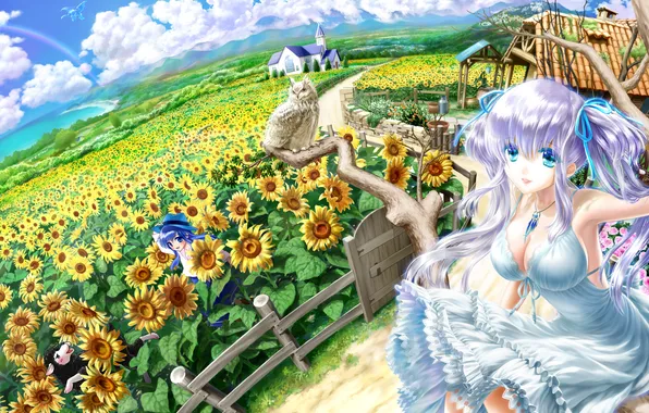Picture field, the sky, girl, clouds, sunflowers, house, tree, owl