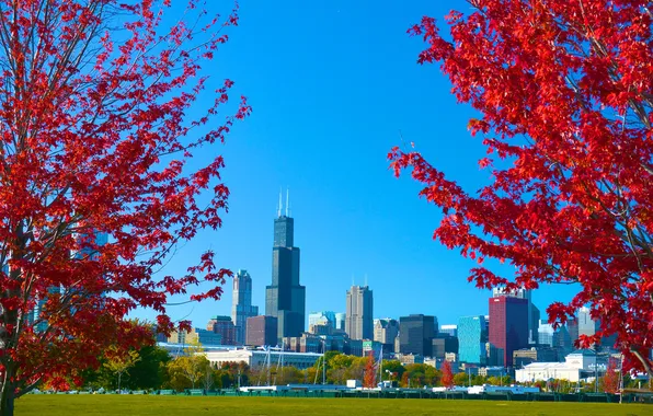 Autumn, the sky, grass, trees, the city, Park, Chicago, USA