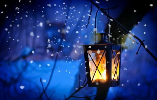 Picture snow, lights, lights, twilight