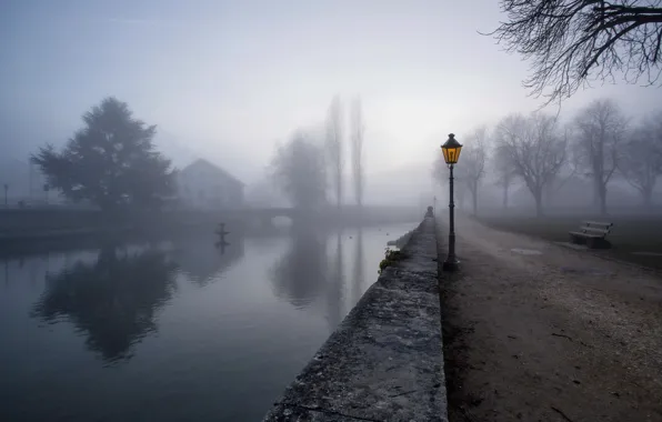 The city, fog, street