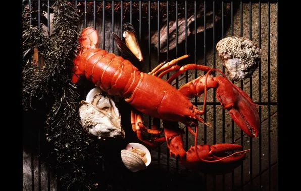 Grille, Lobster, oysters