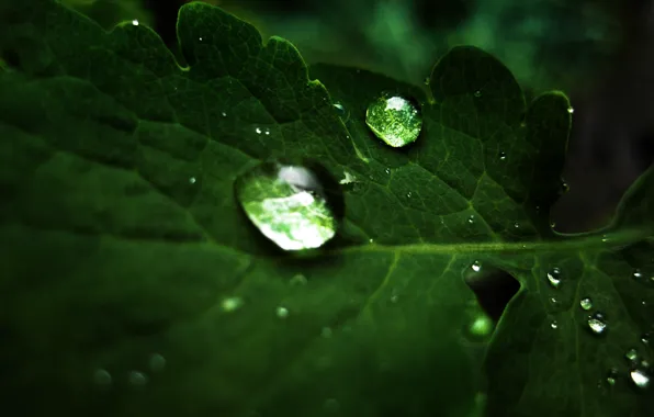 Drops, sheet, macro droplets