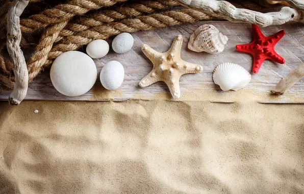 Sand, beach, summer, shell, summer, beach, sand, marine