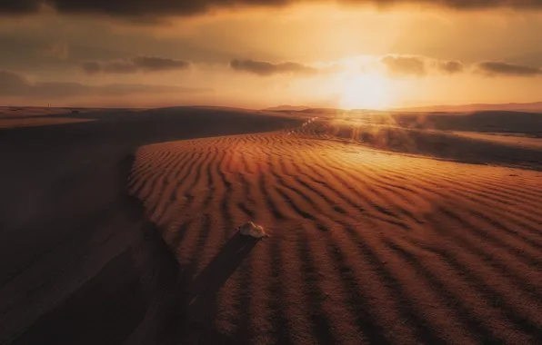 The sun, clouds, rays, sunset, the dunes, desert, dal, dunes