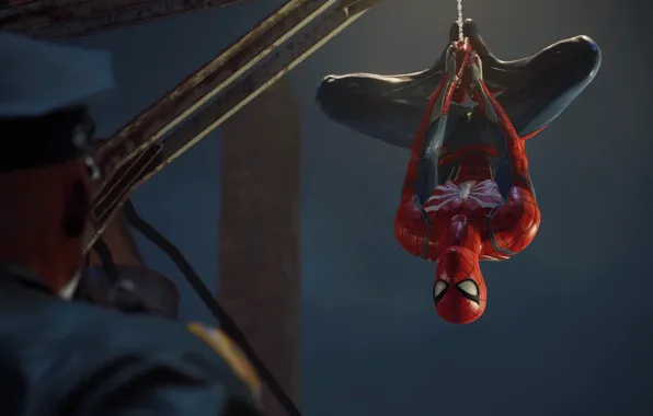 The game, Web, Costume, Hero, Mask, Superhero, Hero, Web