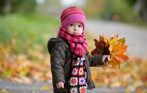 Picture autumn, hat, bouquet, scarf, jacket, child, maple leaves