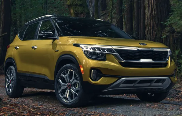 Road, car, machine, forest, close-up, lights, front, yellow
