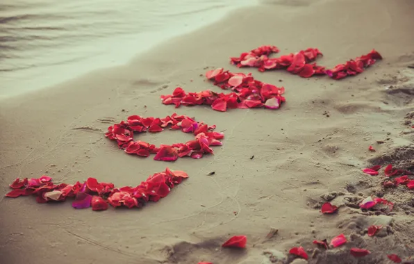 Sand, beach, love, romance, petals, love, beach, sea