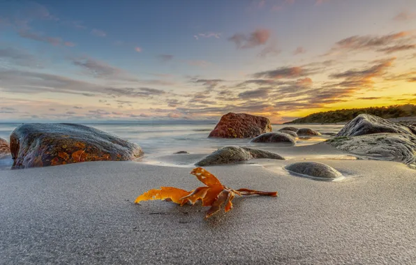 Stones, coast, Norway, Raet National Park