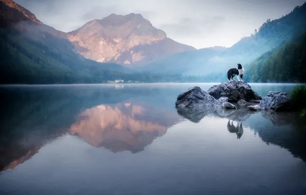 Forest, the sky, clouds, landscape, mountains, fog, lake, reflection