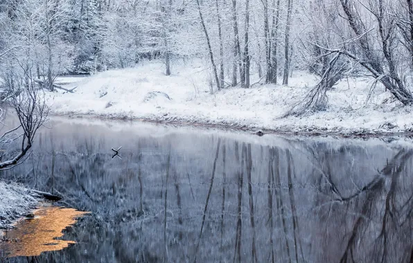 Picture winter, snow, river, ice