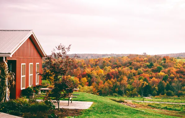 USA, United States, america, Pennsylvania, United States of America, Pocono Mountains, Red Barn at Calkins …