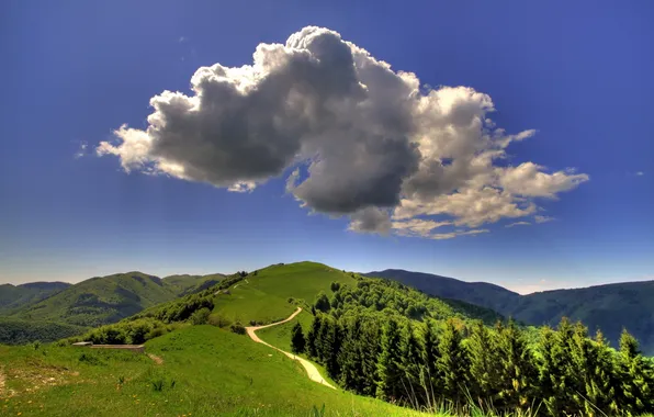 Picture road, forest, summer, the sky, clouds, landscape, nature, hills