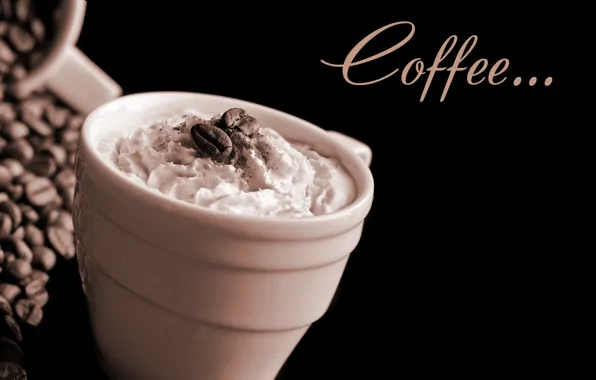 Foam, coffee, Cup, cream, cup, grain, Coffee, coffee