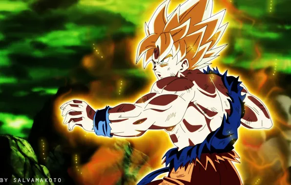 Background, guy, fighter, Dragon Ball, Dragonball