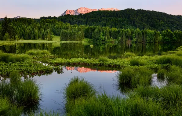 Forest, summer, landscape, mountains, pond, Michael Breitung