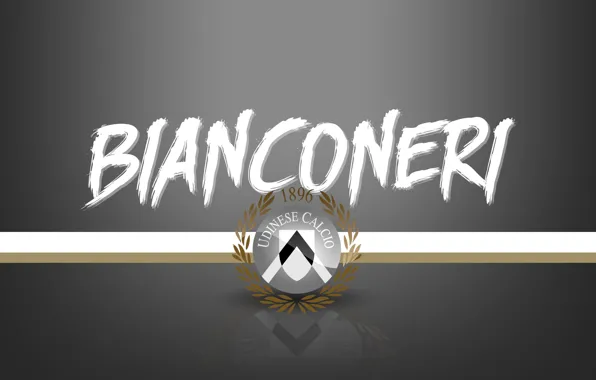 Wallpaper, sport, logo, football, Serie A, Juventus, Udinese