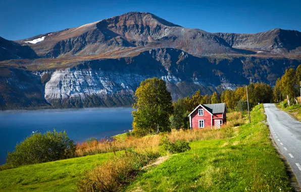 Road, greens, grass, the sun, trees, mountains, rocks, shore